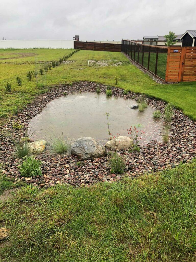 rain puddle